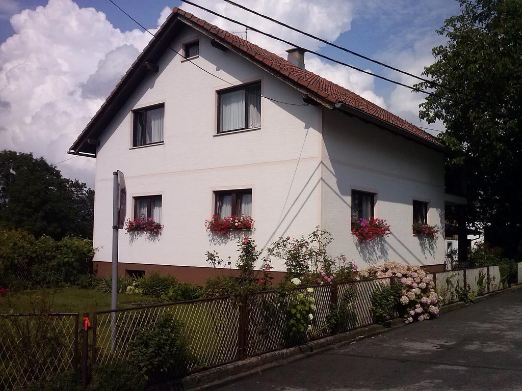 Apartman Josipa Dreznik Grad Room photo